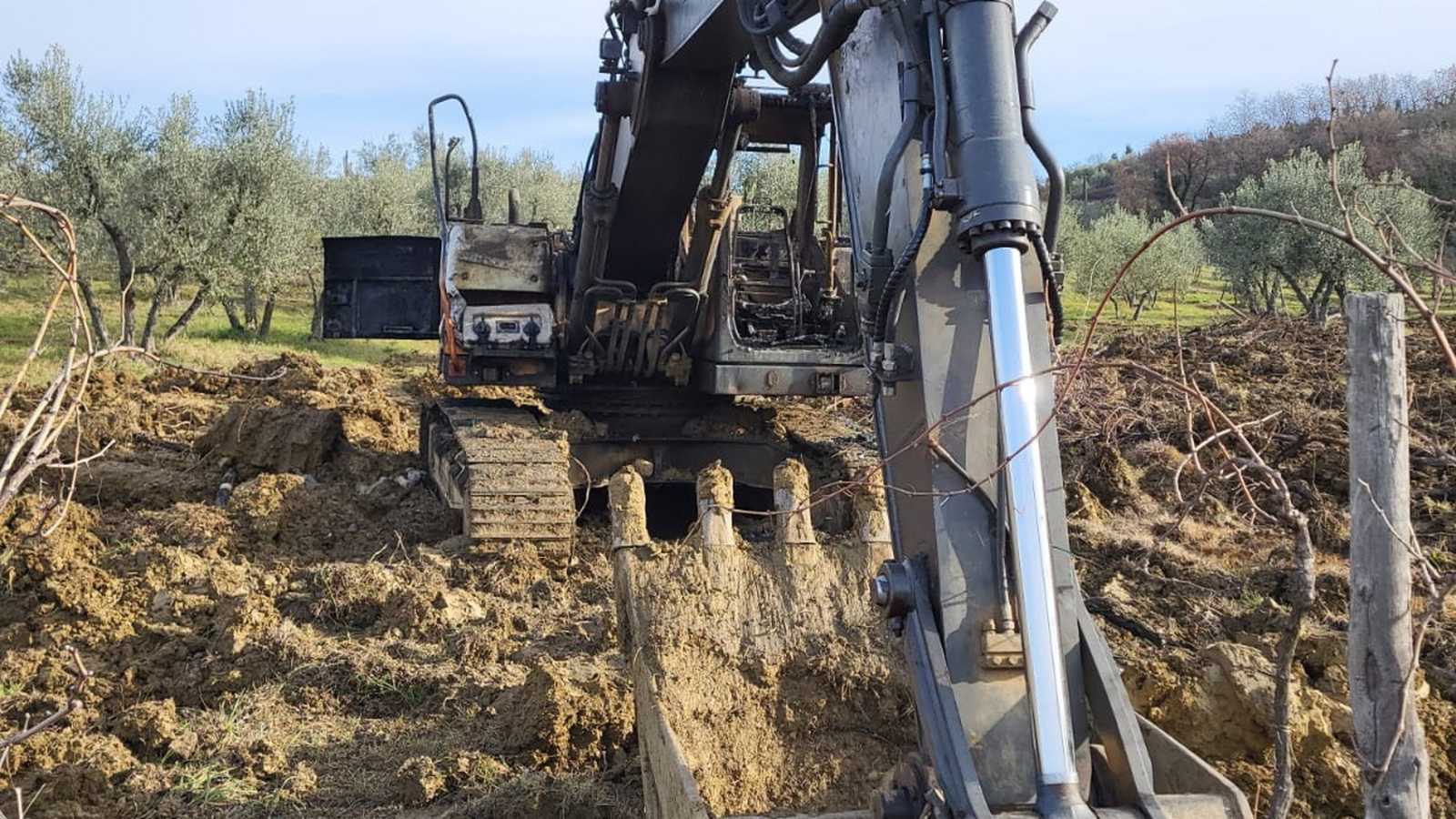 OmecoHub - Immagine 4